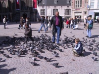 IMG_0380.jpg