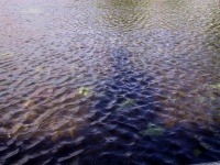 IMG_0399.jpg