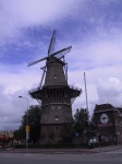 IMG_0412.jpg