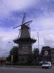 IMG_0413.jpg