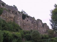IMG_0351.jpg