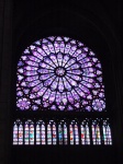 IMG_0265.jpg