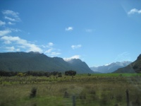 IMG_1702.jpg