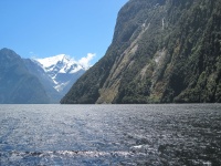 IMG_1763.jpg