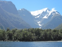 IMG_1882.jpg