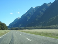 IMG_1940.jpg