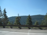 IMG_0191.JPG